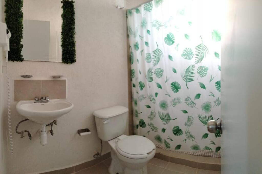 Xaman Ha Vacacional Con Piscina *